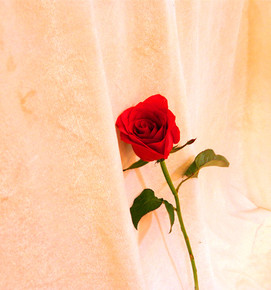 太阳成集团tyc7111cc