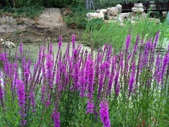 太阳成集团tyc7111cc