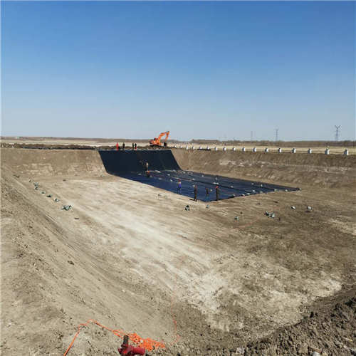 德罗西:赛前一切人都不看好罗马,但我们做到了_太阳成集团tyc7111cc(图1) 太阳成集团tyc7111cc