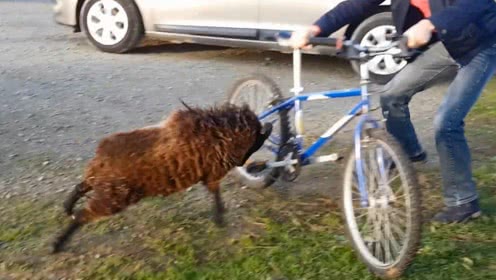 太阳成集团tyc7111cc:陈楚生脍炙人口热单《一夜》即将正式发行 7月5日带你回到难忘的《一夜》(图3) 太阳成集团tyc7111cc