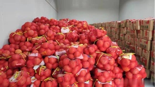 “太阳成集团tyc7111cc”天娱拍摄2013贺岁大片 型男魏晨锋芒毕露(图1) 太阳成集团tyc7111cc