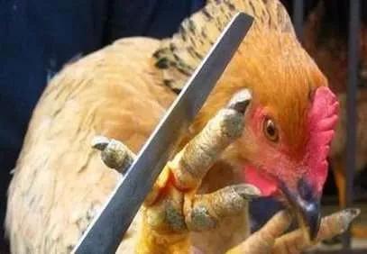 太阳成集团tyc7111cc