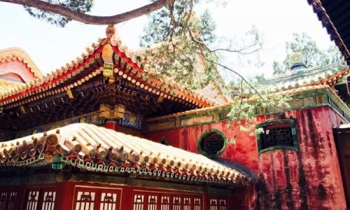 杨坤三井寿附体 灌篮高手主题曲点燃热血青春‘太阳成集团tyc7111cc’(图4) 太阳成集团tyc7111cc