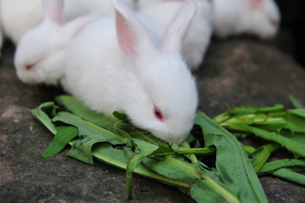 太阳成集团tyc7111cc