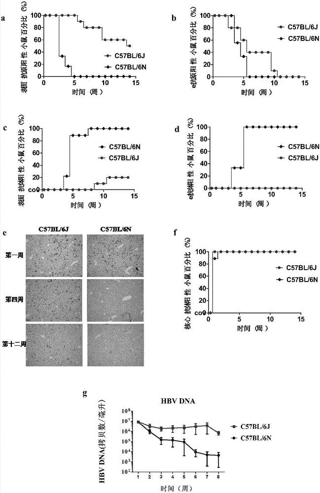 太阳成集团tyc7111cc