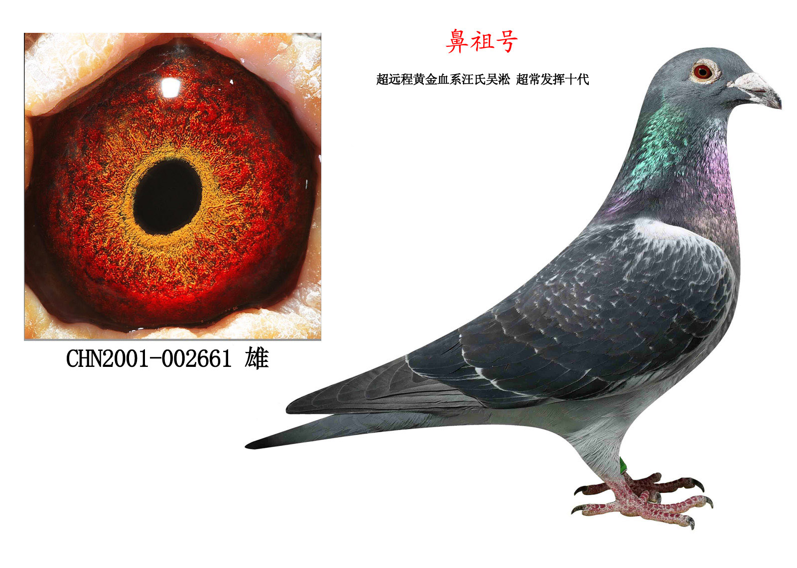 太阳成集团tyc7111cc