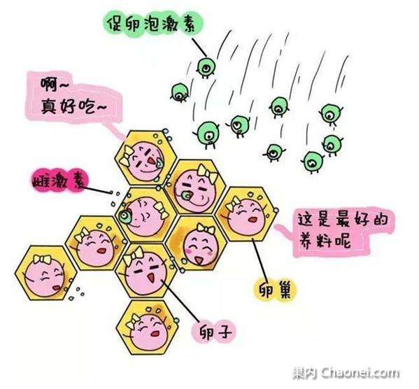 瓜帅反击巴托梅乌:做人别太高调 盼未来欧冠打巴萨_太阳成集团tyc7111cc(图2) 太阳成集团tyc7111cc